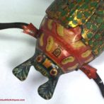 image of Lehmann crawling beetle