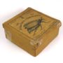 image of Lehmann crawling beetle box