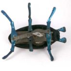 image of Lehmann beetle underside
