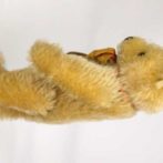 image of Steiff Original Teddy 5318 hump