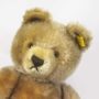 Vintage Steiff masked bear 0202.36 ID tag
