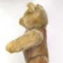 image of Steiff bear hump